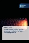 Mahmoud Dawood - Fundamental study: Space-temporal evolution of laser-induced plasmas
