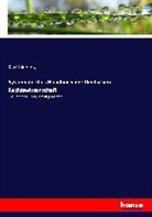 Kar Binding, Karl Binding - Systematisches Handbuch der Deutschen Rechtswissenschaft