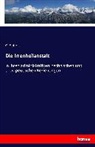 G Seifert, G. Seifert - Die Irrenheilanstalt