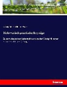 Ludwig Albert Wilhelm Köster - Diplomatisch practische Beyträge
