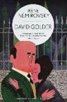 Irène Némirovsky - David Golder. Ediz. integrale