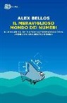 Alex Bellos - Il meraviglioso mondo dei numeri