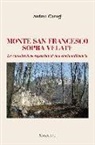 Andrea Ganugi - Monte San Francesco sopra Velate. La cancellazione repentina di una storia millenaria