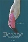 Xulio Gutiérrez, N. Fernádez - Bocche