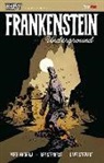 Mike Mignola, B. Stenbeck - Hellboy presenta: Frankenstein Underground