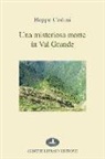 Beppe Codini - Una misteriosa morte in Val Grande