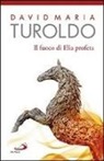 David M. Turoldo, David Maria Turoldo - Il Fuoco di Elia profeta. Omelie 1989-1990. Testamento spirituale