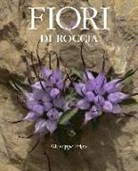 Giuseppe Frigo - Fiori di roccia
