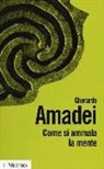 Gherardo Amadei - Come si ammala la mente