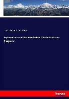 Istvá Fodor, István Fodor, Nikola Tesla - Experimente mit Strömen hoher Wechselzahl und Frequenz