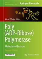 Alexei V Tulin, Alexei V. Tulin, Alexe V Tulin, Alexei V Tulin - Poly(ADP-Ribose) Polymerase