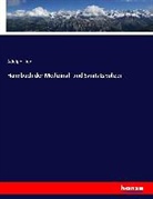 Adolph Lion - Handbuch der Medizinal- und Sanitätspolizei