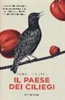 Dörte Hansen - Il paese dei ciliegi