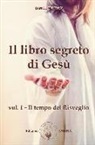 Daniel Meurois-Givaudan - Il libro segreto di Gesù