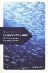 Franco Fresi - La danza sotto il mare. Piccole storie sommerse di un poeta pescatore