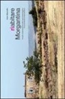 Gero Marzullo - Riabitare Morgantina. Innesti contemporanei nelle aree archeologiche tra convivenze e manomissioni