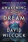 David Wilcock - Awakening in the Dream