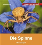 Johanna Prinz - Die Spinne