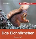 Johanna Prinz - Das Eichhörnchen