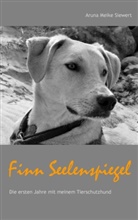 Aruna M. Siewert, Aruna Meike Siewert - Finn Seelenspiegel