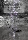 Sabrina Cospetti - Black wings. Il richiamo delle tenebre