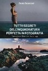 Denis Dubesset - Tutti i segreti dell'inquadratura perfetta. Paesaggio. Ritratto. Reportage