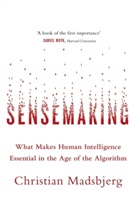 Christian Madsbjerg, Madsbjerg Christian - Sensemaking