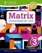 Areti Bizior, Steve Bunce, Diane Levine, Alison Page, Alison Bunce Page, Alison Levine Page - Matrix Computing for 11-14: Student Book 3