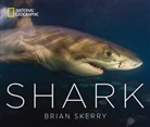 Brian Skerry, Brian Skerry - Shark