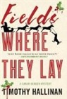 Timothy Hallinan, Okey Ndibe - Fields Where They Lay