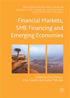 Giusy Chesini, Elis Giaretta, Elisa Giaretta, Andrea Paltrinieri - Financial Markets, SME Financing and Emerging Economies