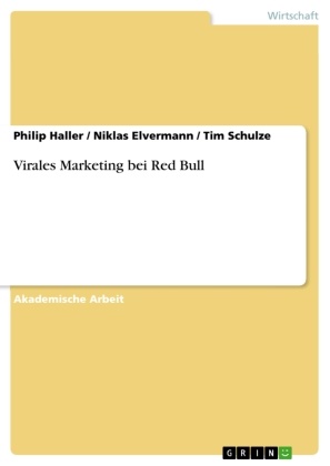 Niklas Elvermann, Phili Haller, Philip Haller, Ti Schulze, Tim Schulze - Virales Marketing bei Red Bull