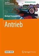 Michael Trzesniowski - Antrieb