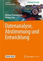 Philipp Eder, Michae Trzesniowski, Michael Trzesniowski - Datenanalyse, Abstimmung und Entwicklung