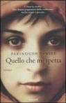 Parinoush Saniee - Quello che mi spetta