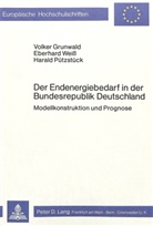 Volker Grunwald, Harald Pützstück, Eberhard Weiß - Der Endenergiebedarf in der Bundesrepublik Deutschland