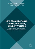 Maria Carmel Annosi, Maria Carmela Annosi, Federica Brunetta - New Organizational Forms, Controls, and Institutions