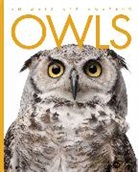 Valerie Bodden - Animals Are Amazing: Owls