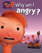 Oscar Brenifier, Jacques Després, Jacques Despres, Jacques Després - What's the Big Idea?: Why Am I Angry?