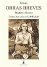 Sankaracarya - Obras breves : tratados e himnos