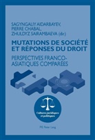Sagyngali Aidarbayev, Sagyngaliy Aidarbayev, Pierr Chabal, Pierre Chabal, Zhuldyz Sairambaeva - Mutations de société et réponses du droit