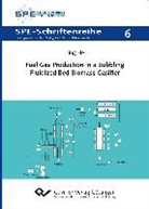 Ling He - Fuel Gas Production in a Bubbling Fluidized