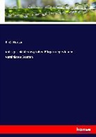 R G Horton, R. G. Horton - Volksgeschichte des großen Bürgerkrieges in den Vereinigten Staaten