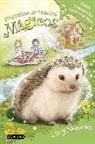 Daisy Meadows - Pequeños animales mágicos 6. Emily Pelopincho tiene una idea