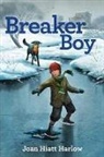 Joan Hiatt Harlow, Harlow Joan Hiatt - Breaker Boy