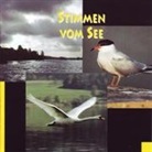 Friedrich Dürrenmatt, Diethelm Zimmermann, Wolfgang Reichmann - Turmbau, Stoffe IV-IX, 1 Audio-CD (Hörbuch)