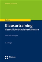 Klaus Bartels, Klaus (Prof. Dr.) Bartels - Klausurtraining Gesetzliche Schuldverhältnisse