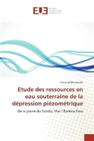 Youssouf Koussoubé - Etude des ressources en eau souterraine de la dépression piézométrique