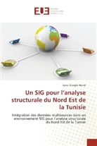 Sarra Ouerghi Hermi - Un SIG pour l'analyse structurale du Nord Est de la Tunisie