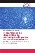 Braulio Fernández, Manue Villarreal, Manuel Villarreal - Mecanismos de dispersión de portadores de carga en semiconductores